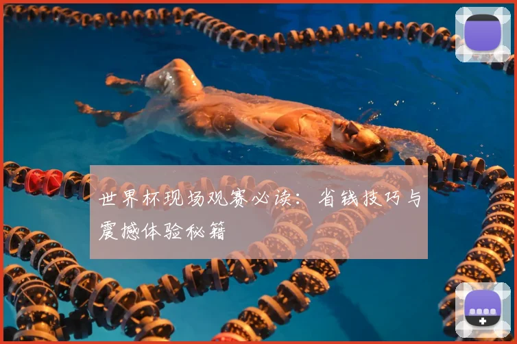 世界杯现场观赛必读：省钱技巧与震撼体验秘籍