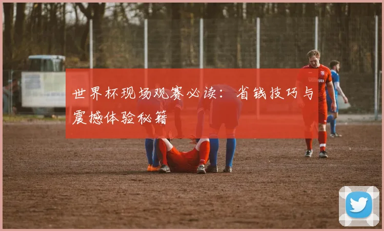 世界杯现场观赛必读：省钱技巧与震撼体验秘籍